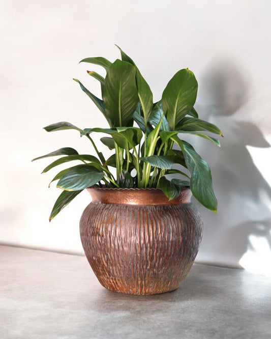 Early 20th Century Italian Handmade Copper Flowerpot